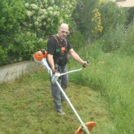 Entretien Jardin